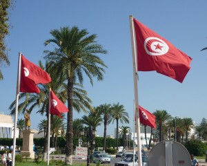 1314967900_p1020682