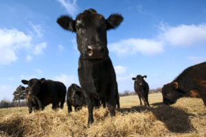 detail_7d09a396e8e5e0db0d6c02def45c11b2