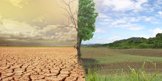 climate