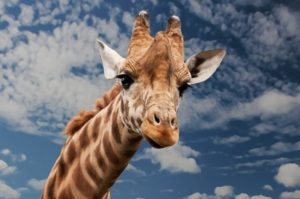 a7ed94c82202349643f3ebc76e0308b6