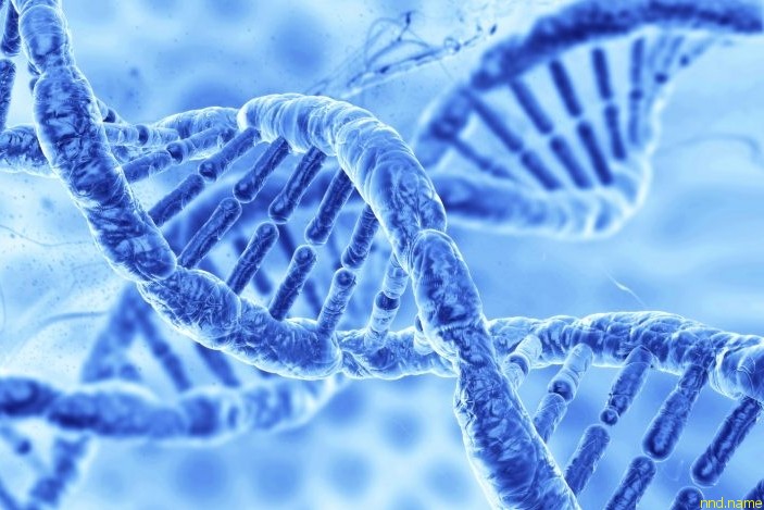 dna