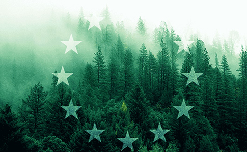 a0384a7-eu-green