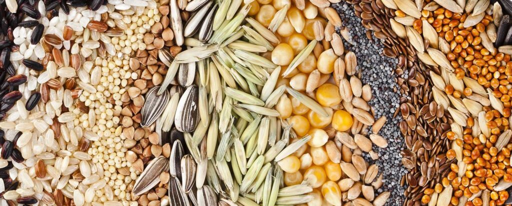 csm_seeds-treatment-humintech_22362176a4