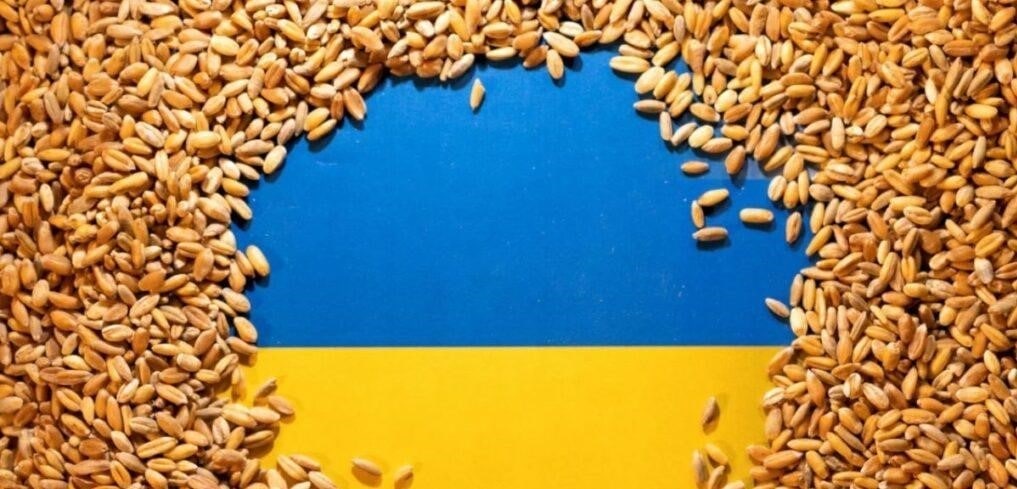 photo_2022-07-18_10-37-29